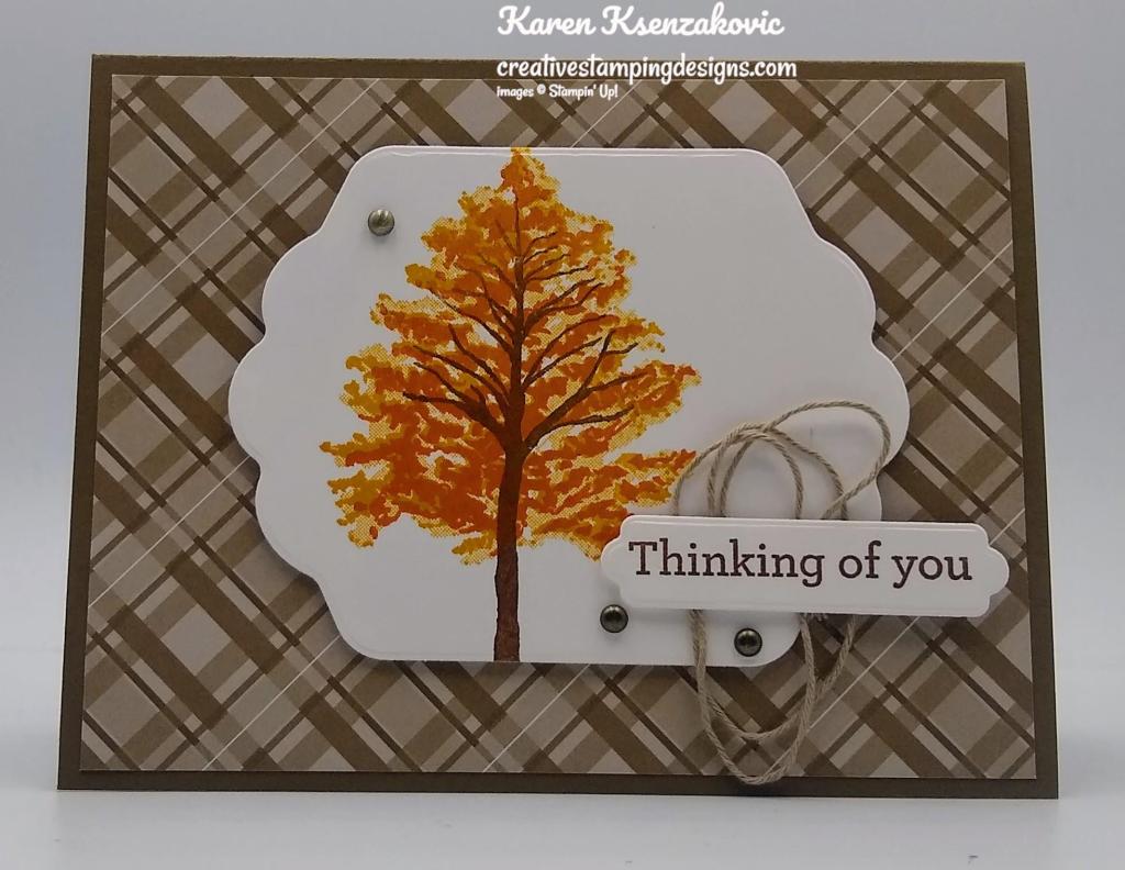 Stampin' Up! Beauty of Friendship Birthday 2 creativestampingdesigns.com