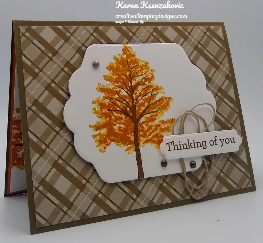 Stampin' Up! Beauty of Friendship Birthday 3 creativestampingdesigns.com
