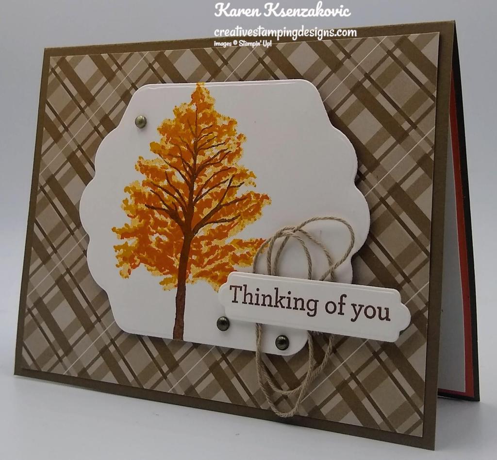 Stampin' Up! Beauty of Friendship Birthday 4 creativestampingdesigns.com