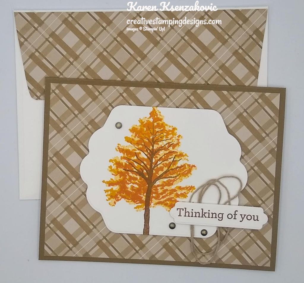 Stampin' Up! Beauty of Friendship Birthday 7 creativestampingdesigns.com