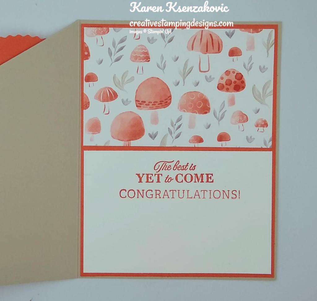 Stampin' Up! Celebrating You Baby Fun Fold 5 creativestampingdesigns.com