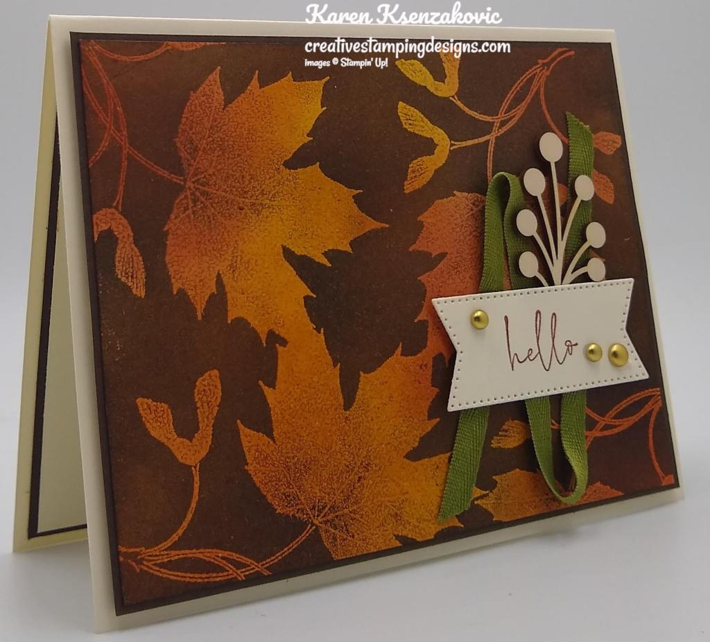 Stampin' Up! Soft Seedlings Josephs Coat 3 creativestampingdesigns.com