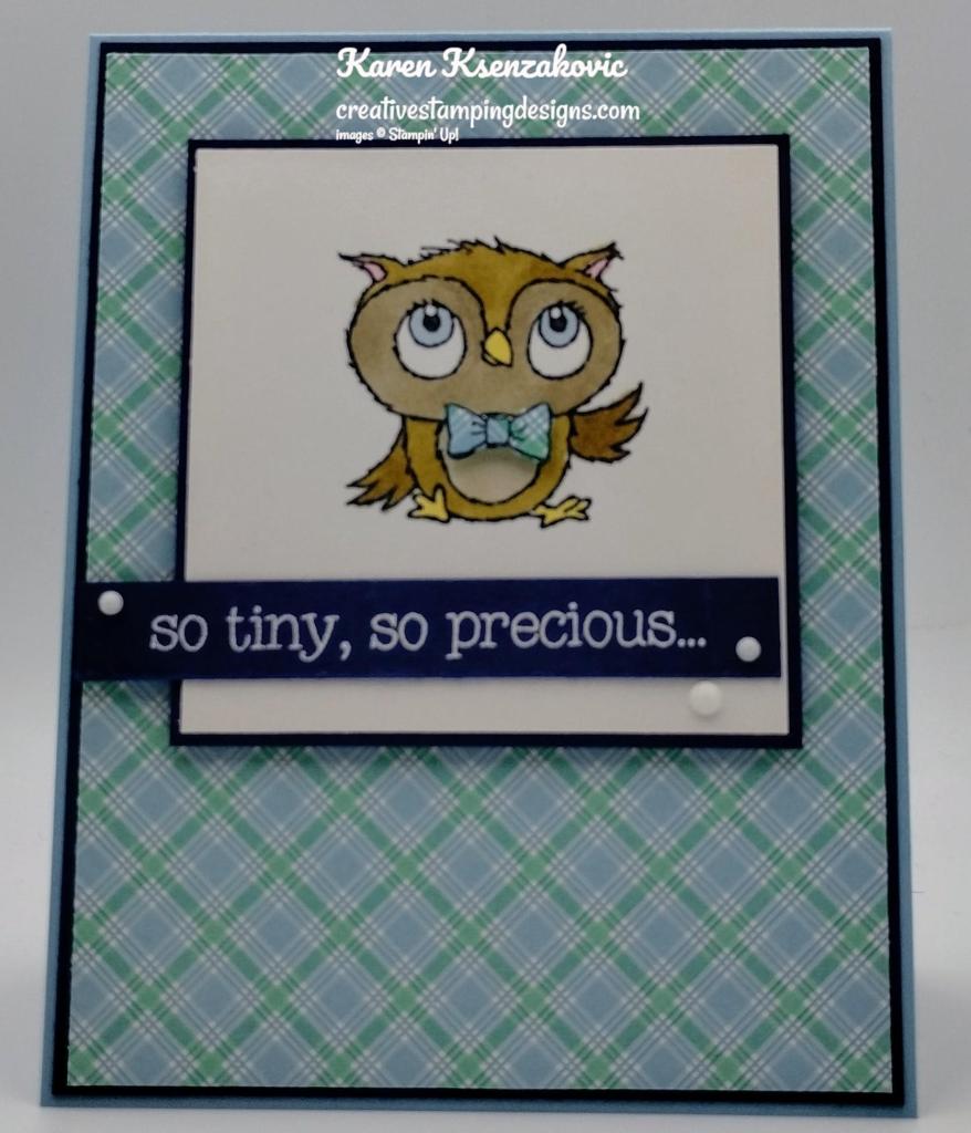 Stampin' Up! Adorable Owls Baby 2 creativestampingdesigns.com