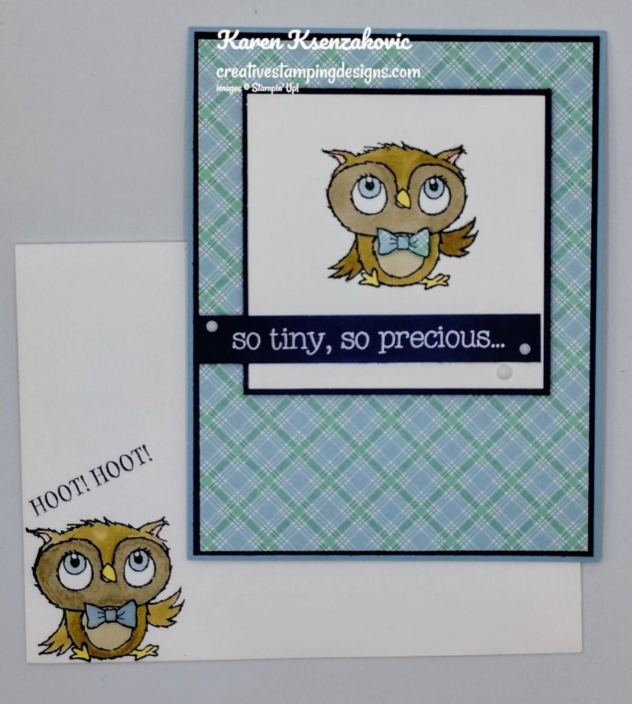 Stampin' Up! Adorable Owls Baby 6 creativestampingdesigns.com