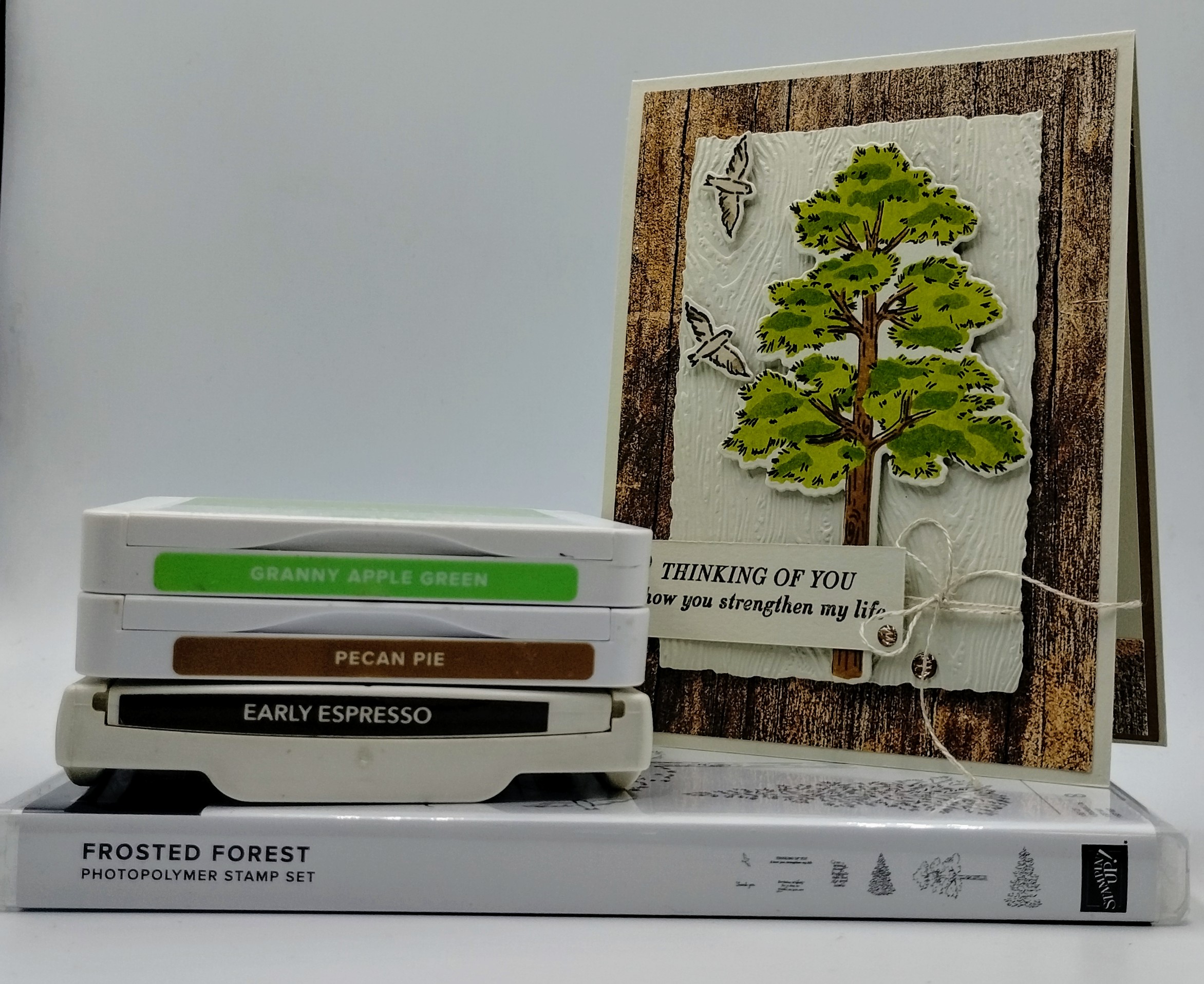 Stampin' Up! Frosted Forest Birthday | Creative Stamping Designs