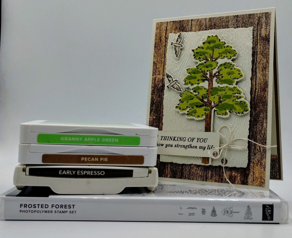 Stampin' Up! Frosted Forest Birthday 1 creativestampingdesigns.com