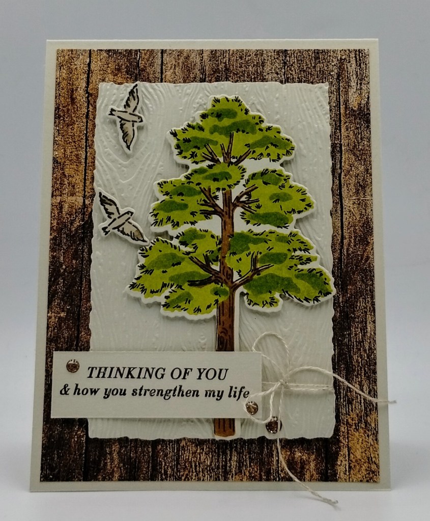 Stampin' Up! Frosted Forest Birthday 2 creativestampingdesigns.com