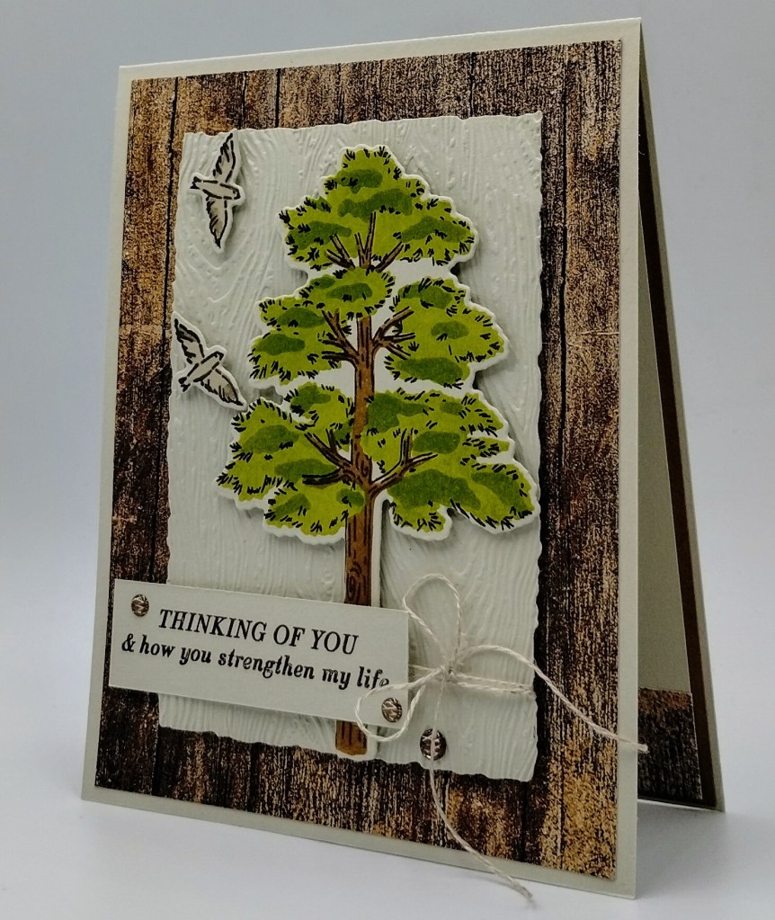 Stampin' Up! Frosted Forest Birthday 3 creativestampingdesigns.com