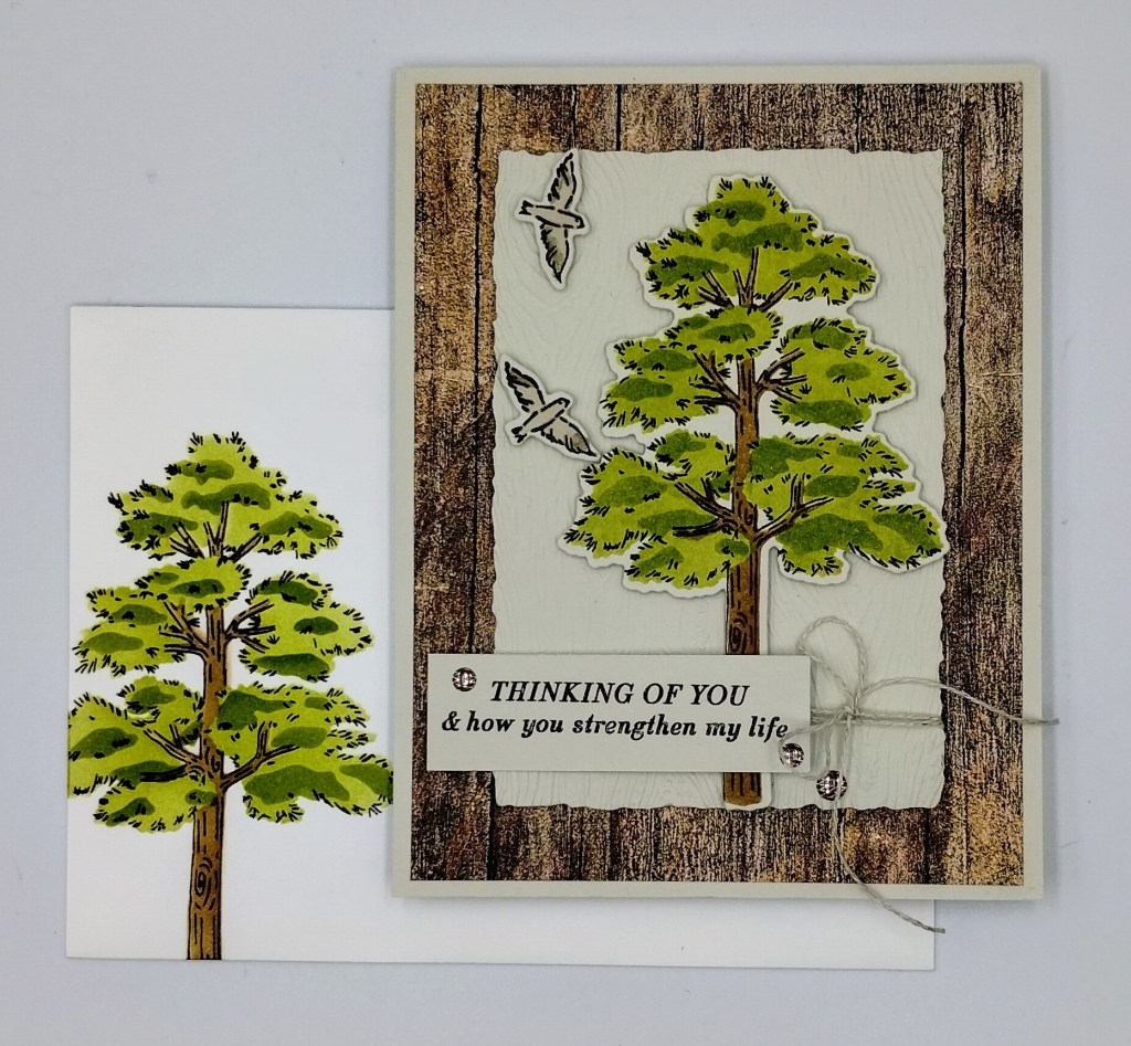 Stampin' Up! Frosted Forest Birthday 6 creativestampingdesigns.com