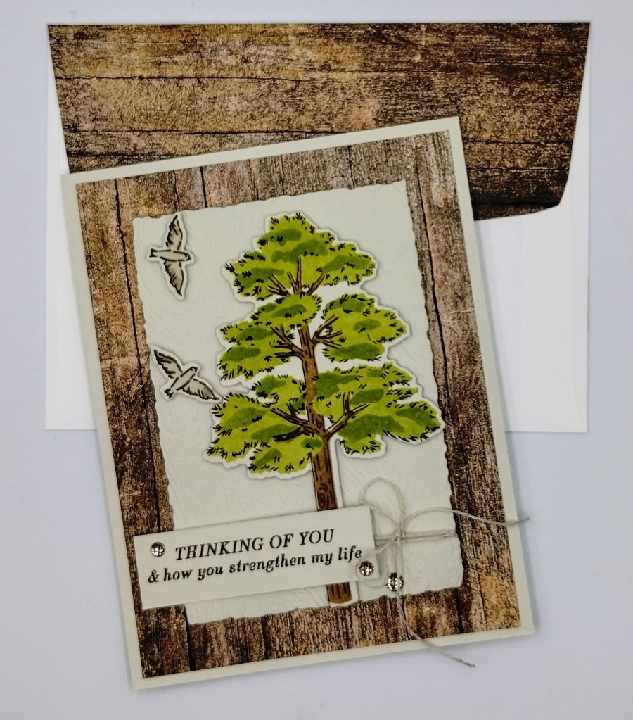 Stampin' Up! Frosted Forest Birthday 7 creativestampingdesigns.com
