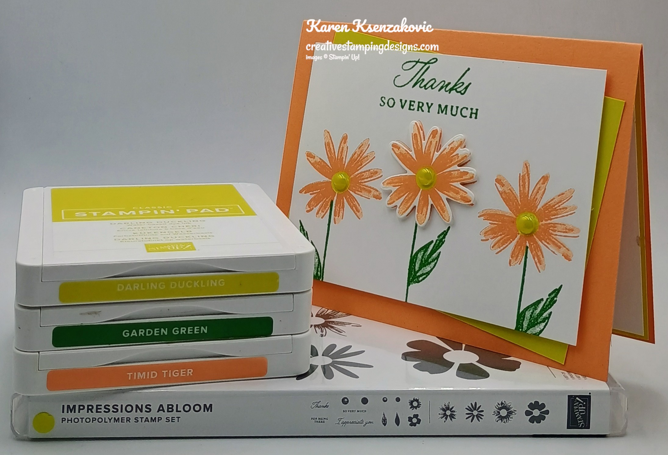 Stampin' Up! Impressions Abloom Daisies | Creative Stamping Designs