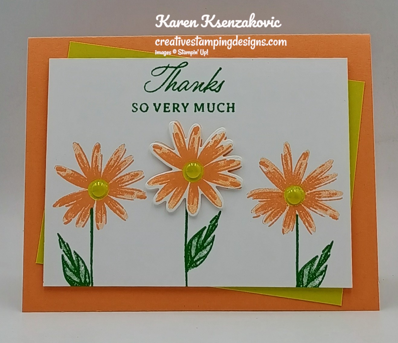 Stampin' Up! Impressions Abloom Daisies | Creative Stamping Designs