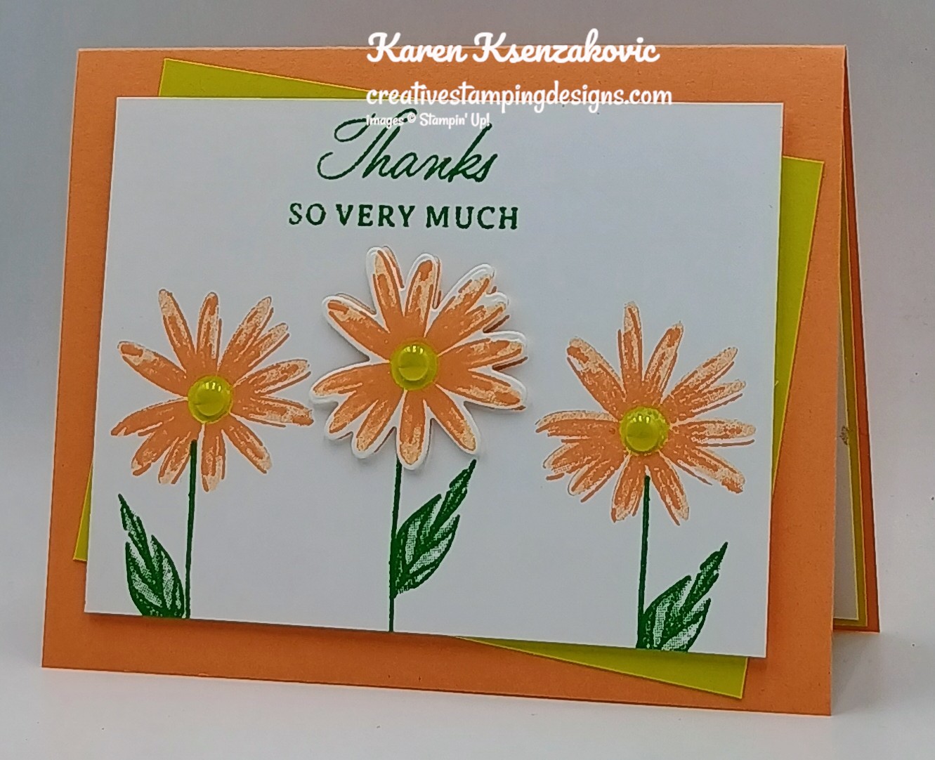 Stampin' Up! Impressions Abloom Daisies | Creative Stamping Designs