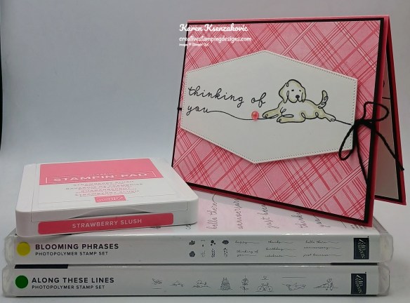 Stampin' Up! Blooming Phrases Along These Lines 1 creativestampingdesigns.com