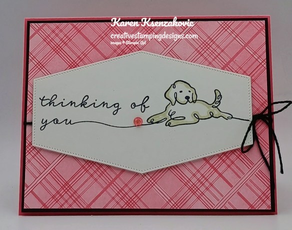 Stampin' Up! Blooming Phrases Along These Lines 2 creativestampingdesigns.com