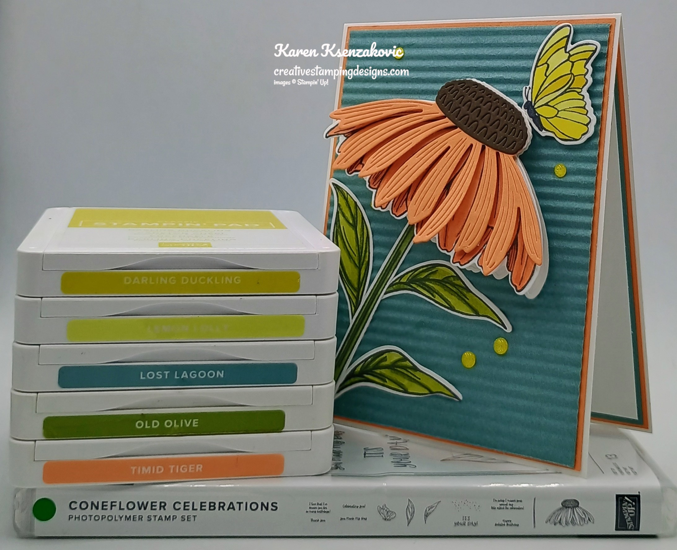 Stampin' Up! Coneflower Celebrations with Front Flap | Creative