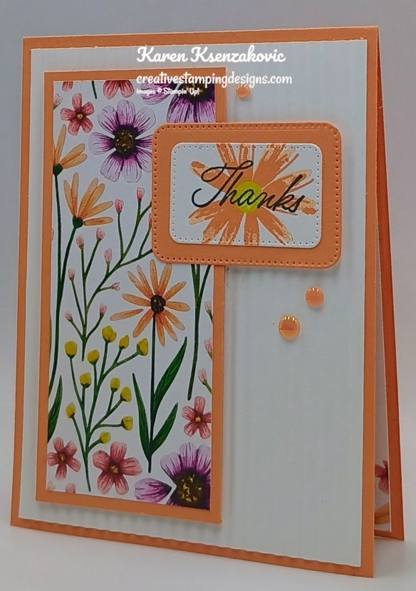 Stampin' Up! Impressions Abloom CAS 4 creativestampingdesigns.com