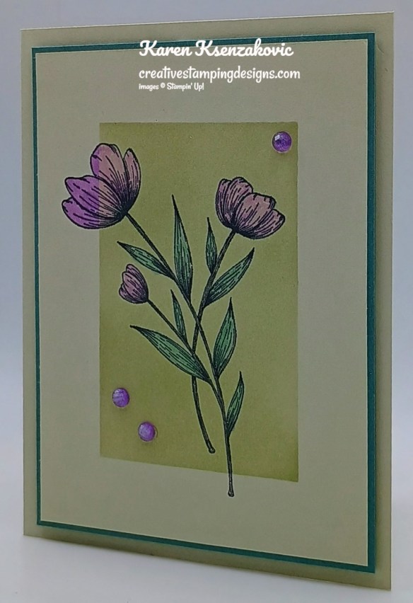 Stampin' Up! Spotlight on Nature CAS 4 creativestampingdesigns.com