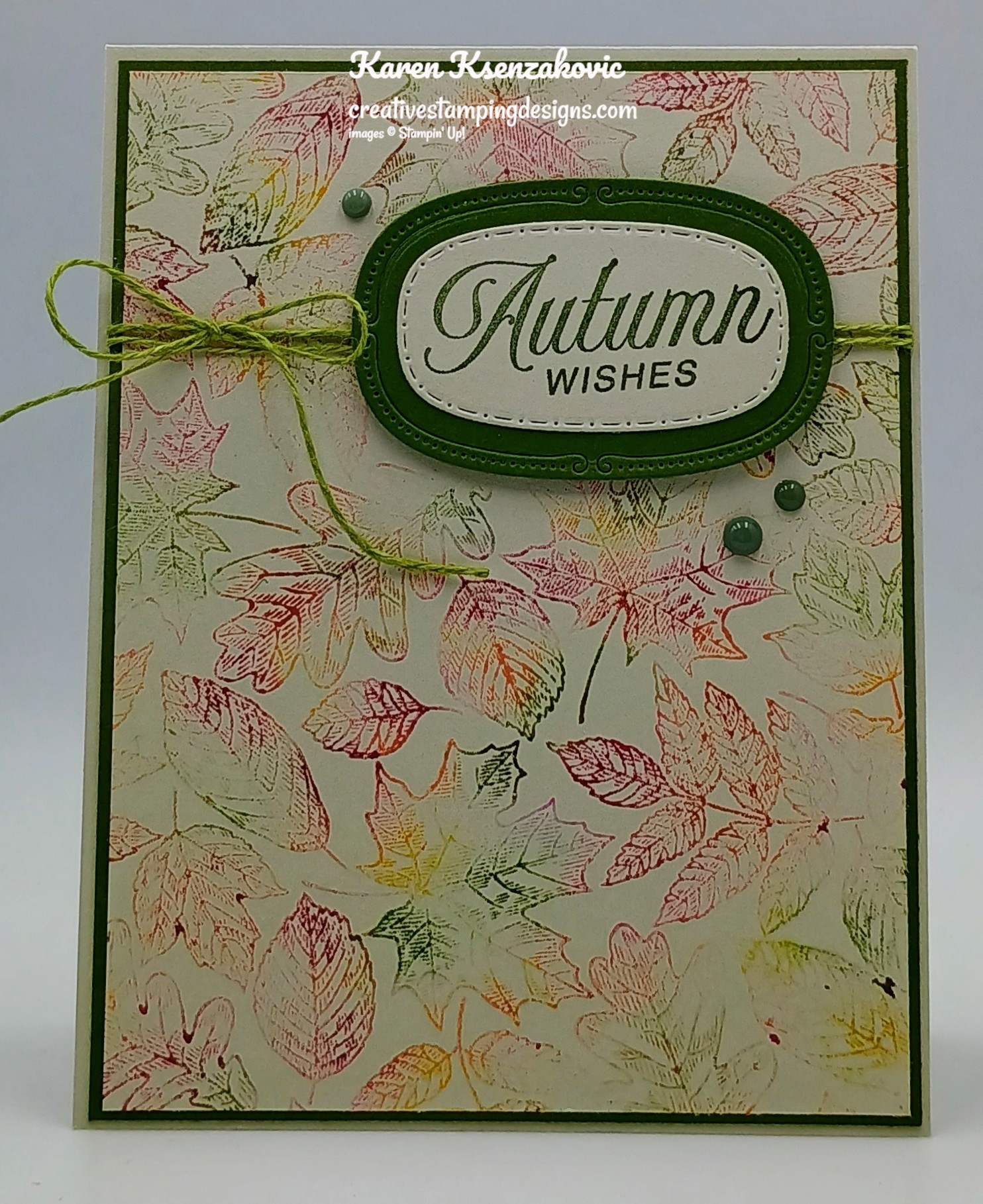 フラワリングカクタス バンドル　スタンピンアップ August | 2025 | Creative Stamping Designs