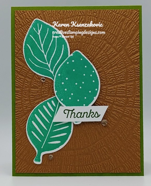 Stampin' Up! Simply Leaves Thanks 2 creativestampingdesigns.com