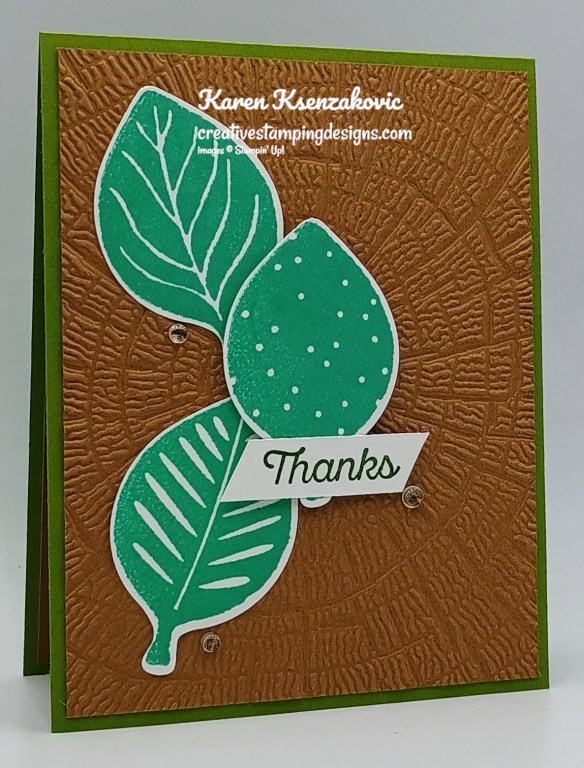 Stampin' Up! Simply Leaves Thanks 3 creativestampingdesigns.com