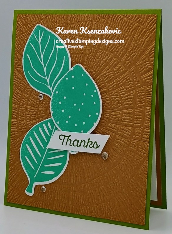 Stampin' Up! Simply Leaves Thanks 4 creativestampingdesigns.com